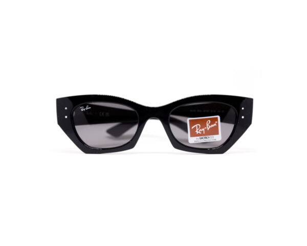 Rayban 4430 C667787