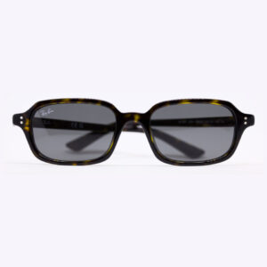 RayBan 4455 135987