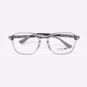 Web WE5428 c20